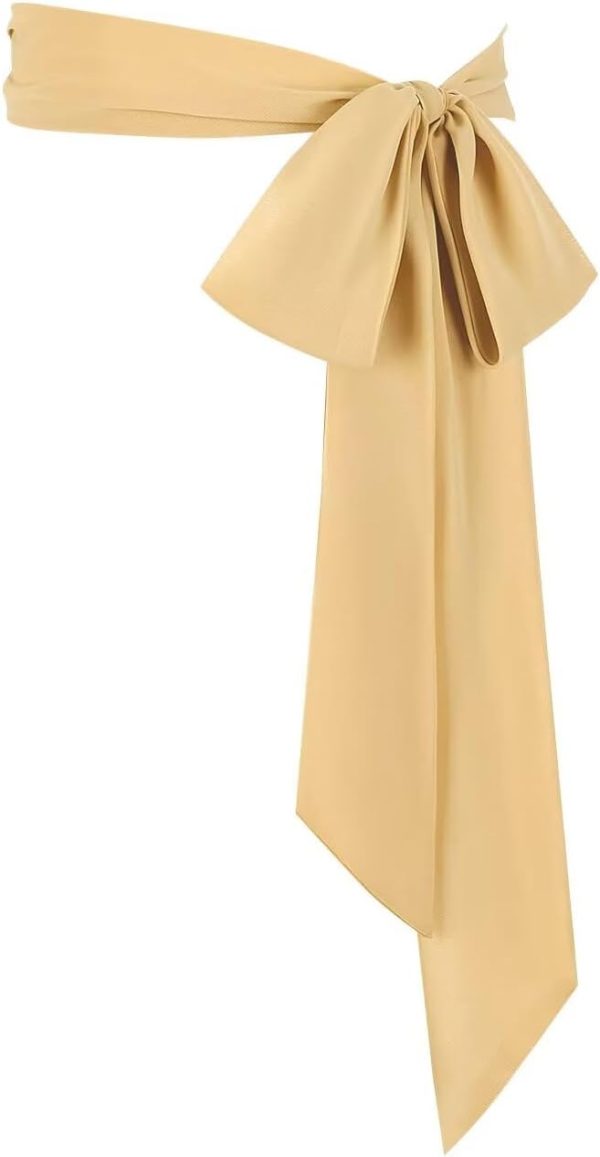 41RCFUg2pdL._AC_SL1500 Jngrtsyjvip FashionWomen's Long Chiffon Sash Waist Belt For Bridal Wedding Bridesmaid Prom Formal Special Occasion Dresses Belt 3'' Wide