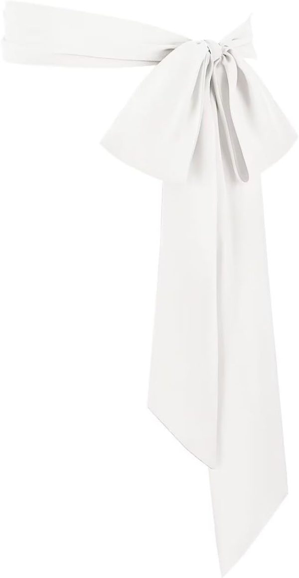 41fmA8GQZkL._AC_SL1500 Jngrtsyjvip FashionWomen's Long Chiffon Sash Waist Belt For Bridal Wedding Bridesmaid Prom Formal Special Occasion Dresses Belt 3'' Wide