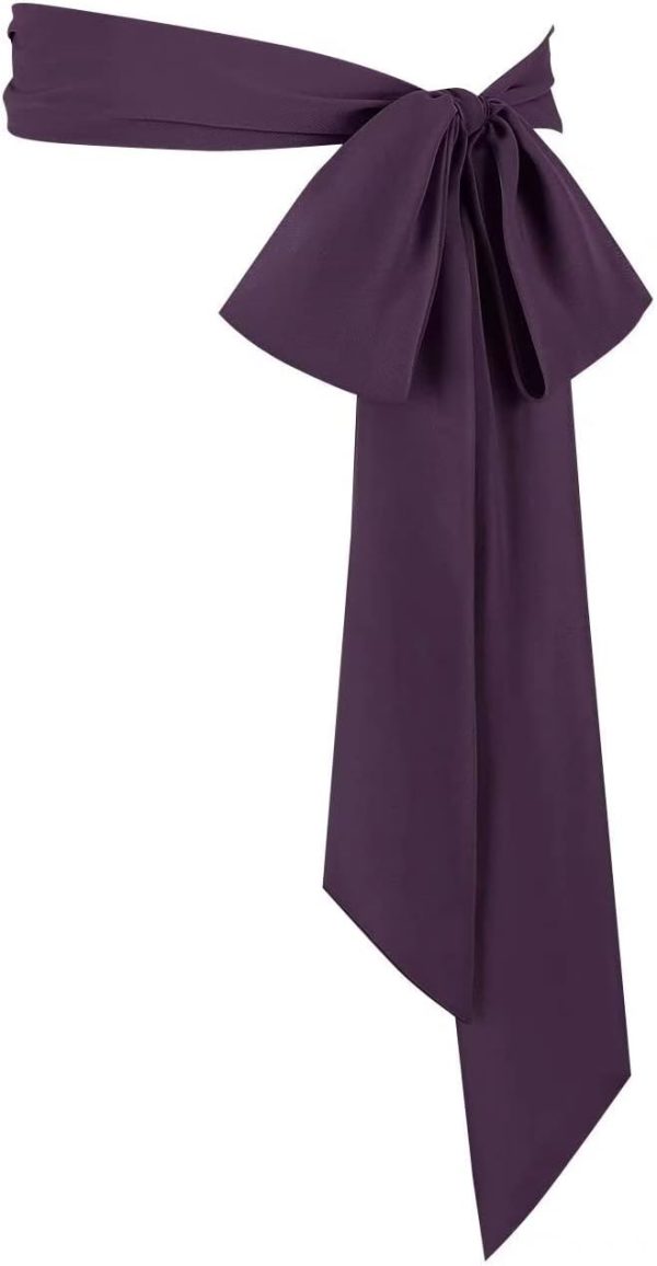 41p9kIh2ORL._AC_SL1500 Jngrtsyjvip FashionWomen's Long Chiffon Sash Waist Belt For Bridal Wedding Bridesmaid Prom Formal Special Occasion Dresses Belt 3'' Wide