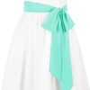 51EF3dOtZ2L._AC_SL1500 Jngrtsyjvip FashionWomen's Long Chiffon Sash Waist Belt For Bridal Wedding Bridesmaid Prom Formal Special Occasion Dresses Belt 3'' Wide